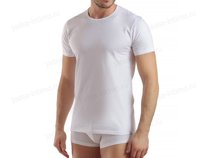 картинка ET1100 футболка мужская от магазина Jadea-intimo.ru